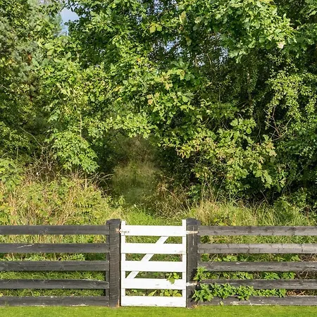 Awesome In With Wifi Ørsted