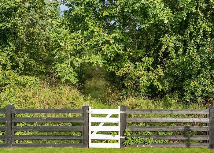 Awesome In With Wifi Orsted (Midtjylland)